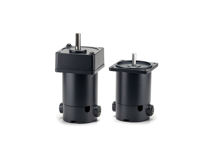 DC Gear Reducer Motors